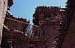 Agoundis_11.jpg
