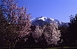 Imlil-Toubkal_03.jpg